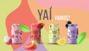 Pack 6 Latas Chá Verde Yaí Frutas Vermelhas - Sem Açúcar e Refrescante